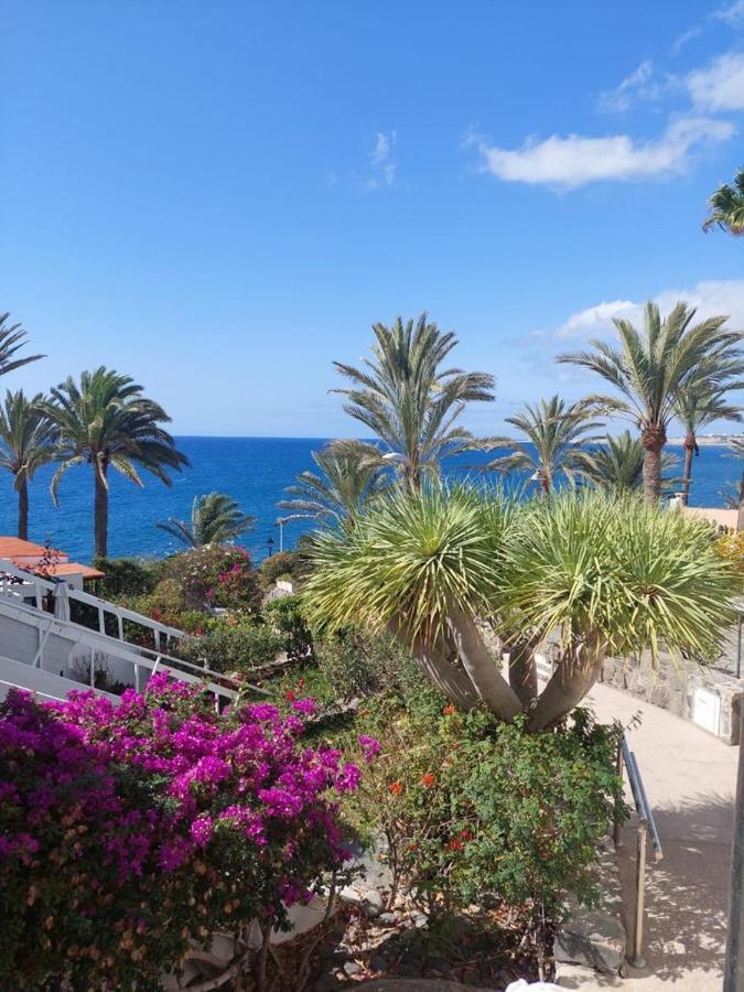 마스팔로마스 La Casa De La Playa San Agustin 아파트 외부 사진