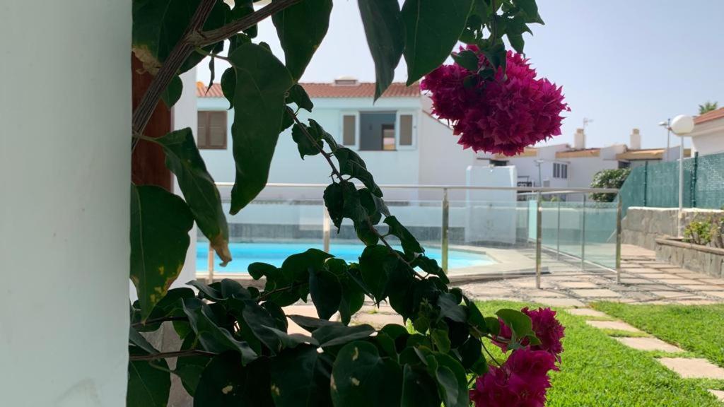 마스팔로마스 La Casa De La Playa San Agustin 아파트 외부 사진
